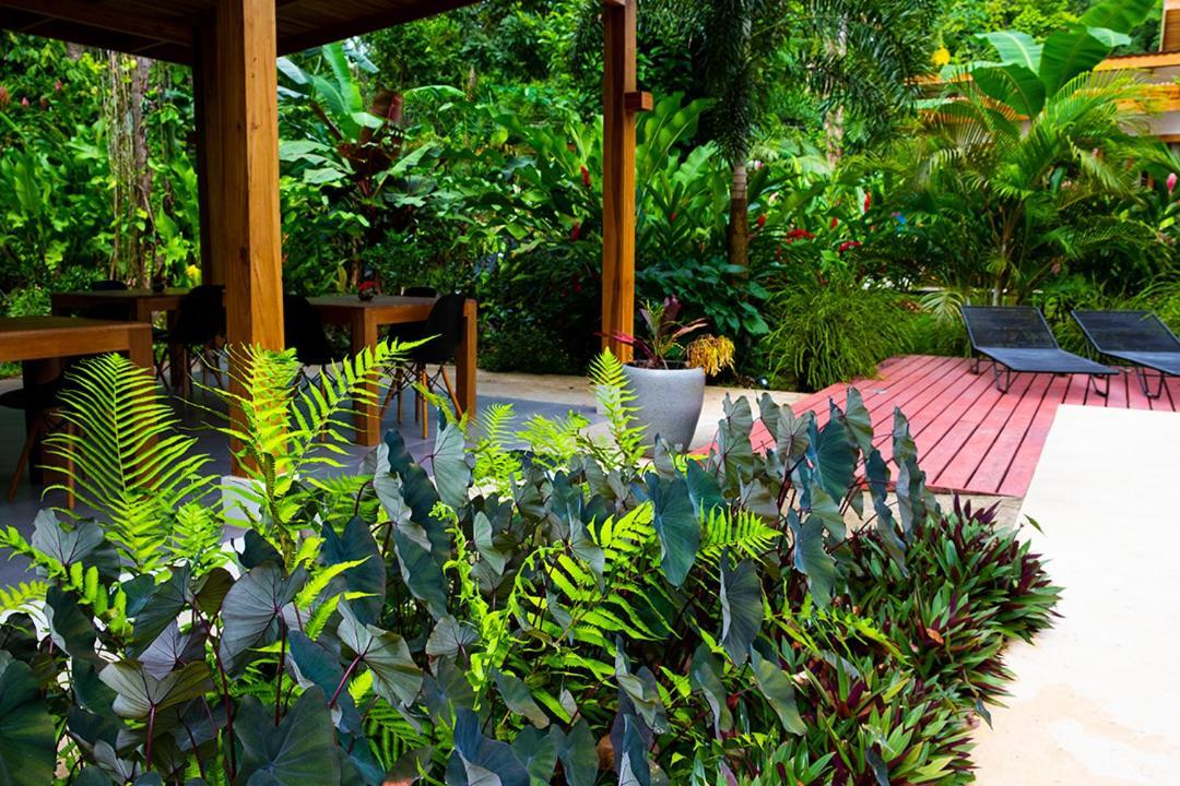 Bed and Breakfast La Paz Del Caribe Adults Only Puerto Viejo de Talamanca Екстер'єр фото