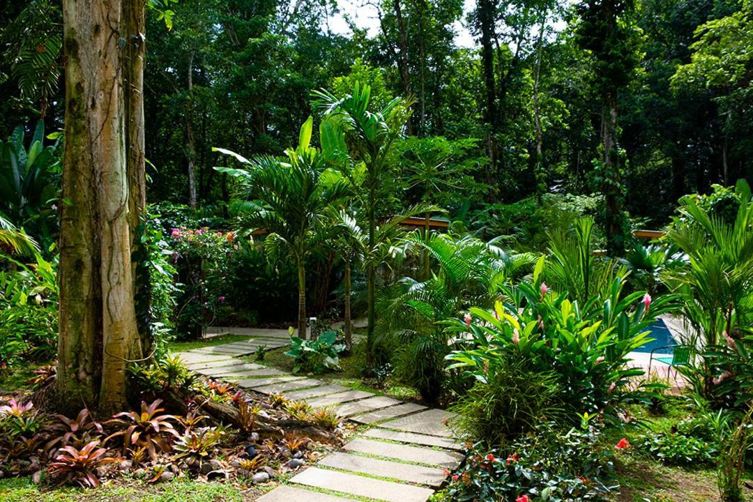 Bed and Breakfast La Paz Del Caribe Adults Only Puerto Viejo de Talamanca Екстер'єр фото