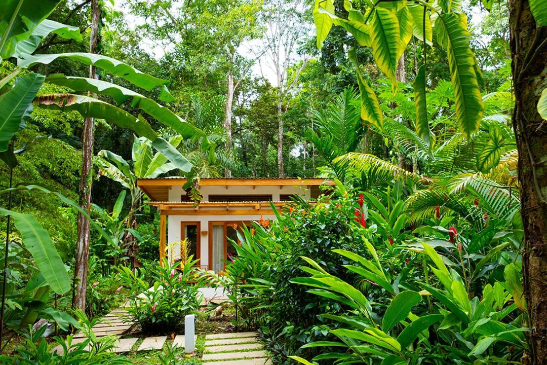 Bed and Breakfast La Paz Del Caribe Adults Only Puerto Viejo de Talamanca Екстер'єр фото