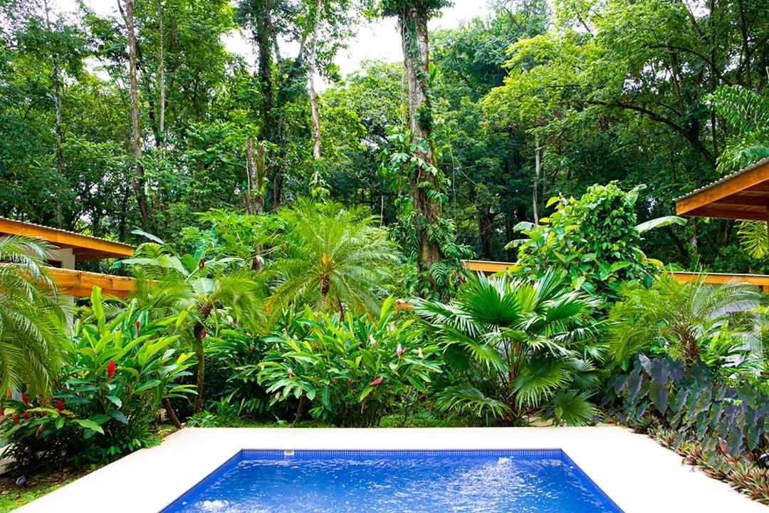 Bed and Breakfast La Paz Del Caribe Adults Only Puerto Viejo de Talamanca Екстер'єр фото