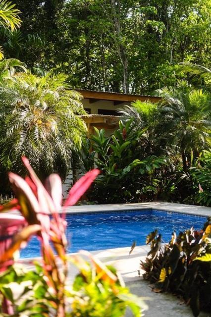 Bed and Breakfast La Paz Del Caribe Adults Only Puerto Viejo de Talamanca Екстер'єр фото