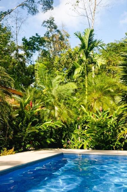 Bed and Breakfast La Paz Del Caribe Adults Only Puerto Viejo de Talamanca Екстер'єр фото