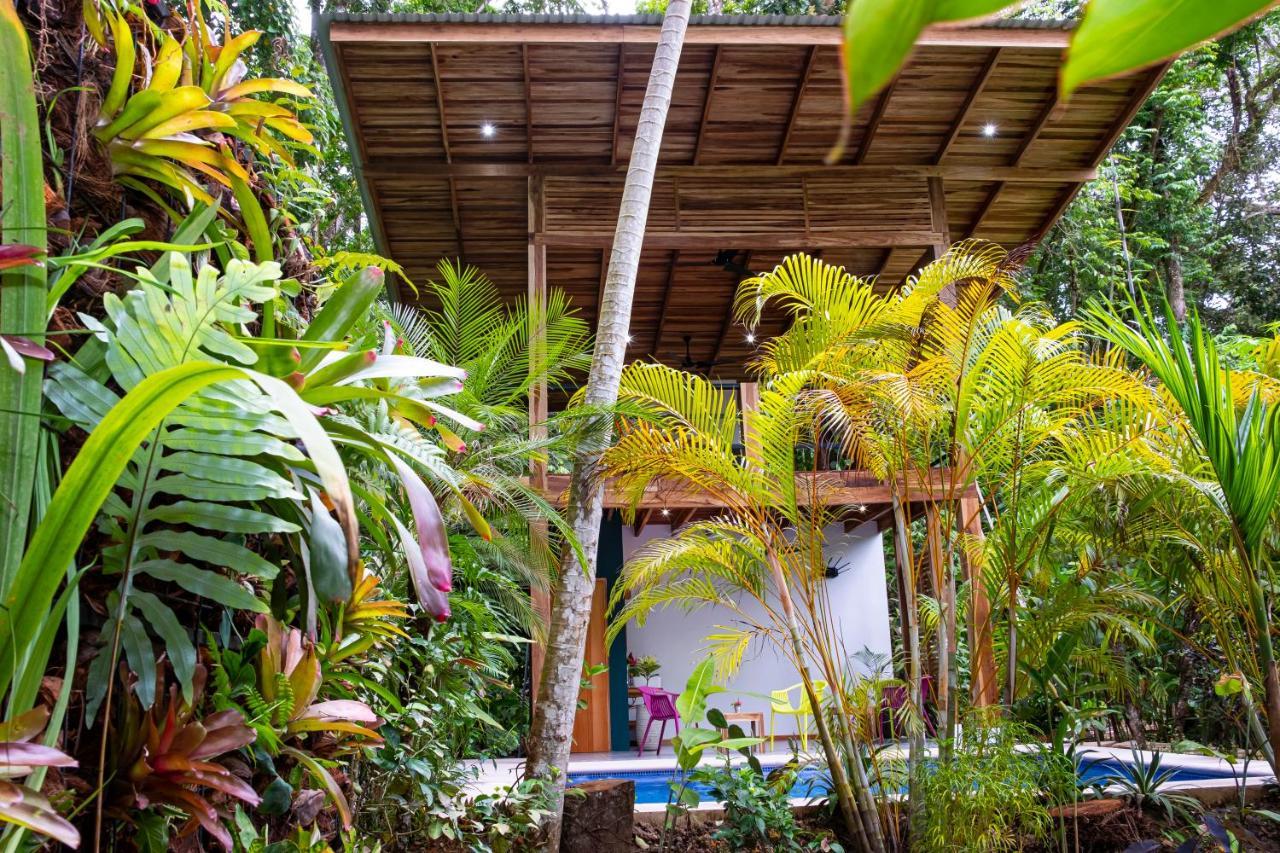 Bed and Breakfast La Paz Del Caribe Adults Only Puerto Viejo de Talamanca Екстер'єр фото